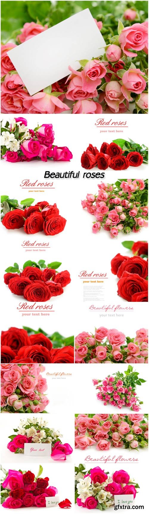 Beautiful roses, flower bouquets