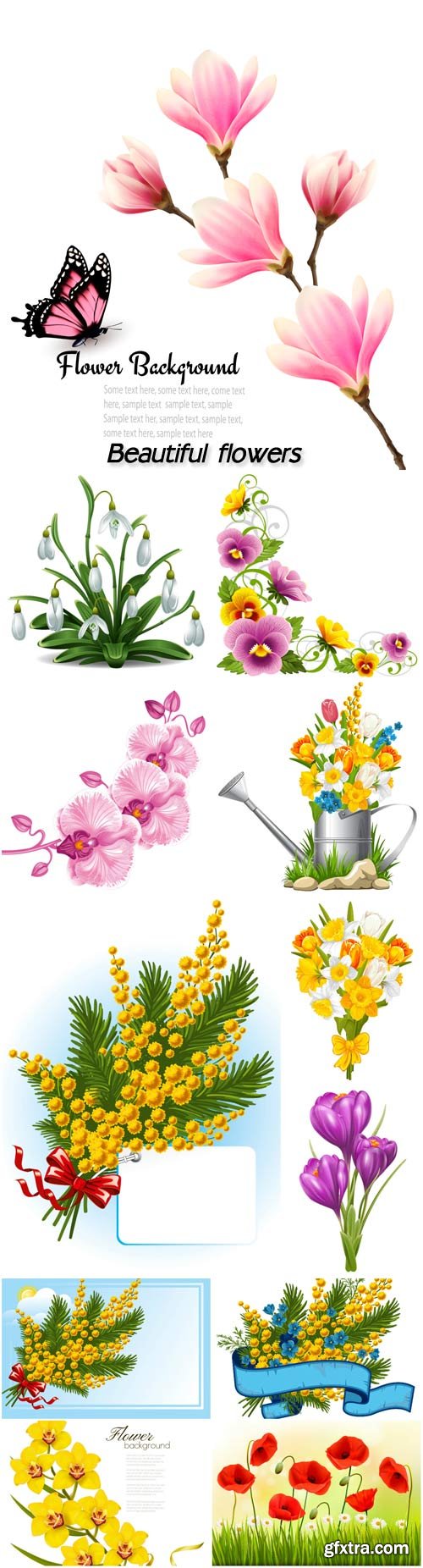 Beautiful flowers, orchids, crocuses, snowdrops, mimosa