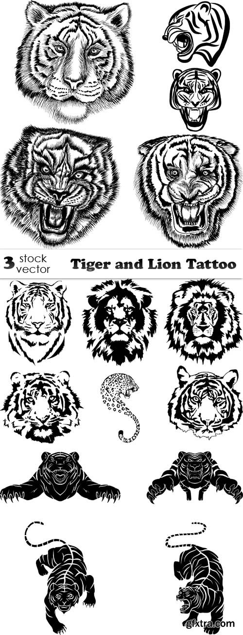 Vectors - Tiger and Lion Tattoo