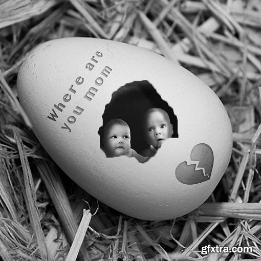 Putt Your Babies Inside an Egg: Photoshop Manipulation