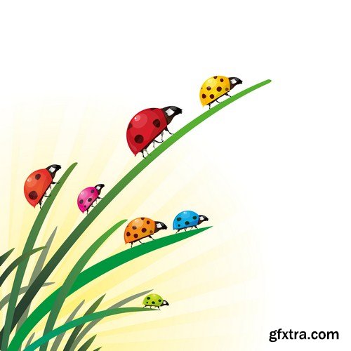 Ladybugs ecological printing 6X EPS