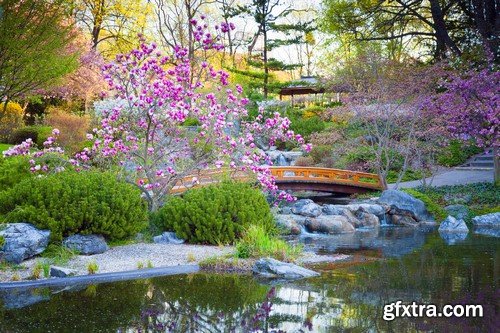 Japanese gardens