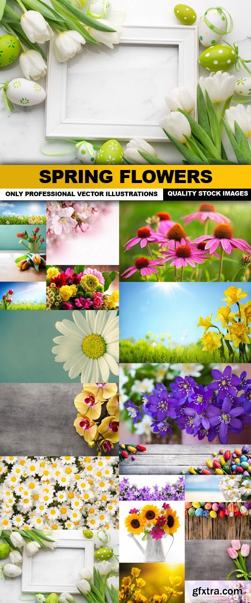 Spring Flowers - 20 HQ Images