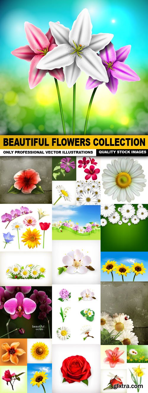 Beautiful Flowers Collection - 25 Vector