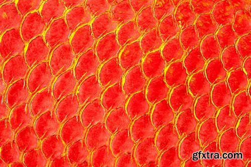 Collection of fish scales background is leather skin 25 HQ Jpeg