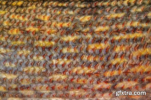 Collection of fish scales background is leather skin 25 HQ Jpeg