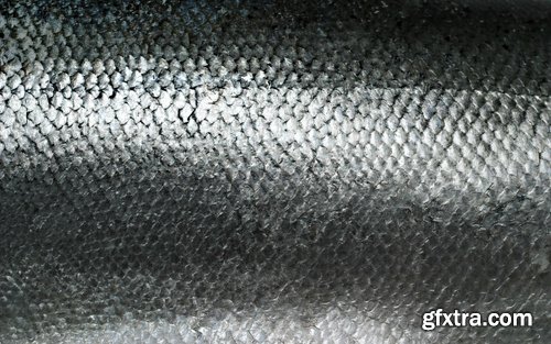 Collection of fish scales background is leather skin 25 HQ Jpeg