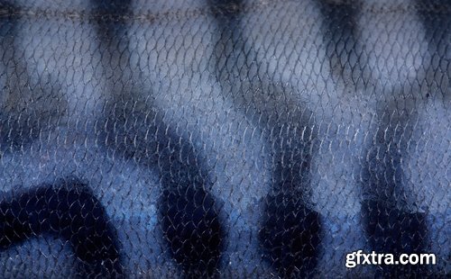 Collection of fish scales background is leather skin 25 HQ Jpeg