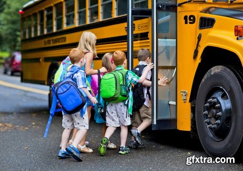 Collection of school bus transport service children 25 HQ Jpeg