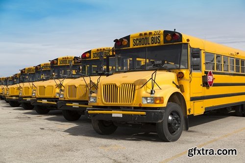 Collection of school bus transport service children 25 HQ Jpeg