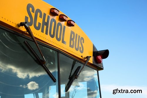 Collection of school bus transport service children 25 HQ Jpeg