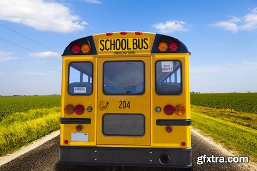 Collection of school bus transport service children 25 HQ Jpeg