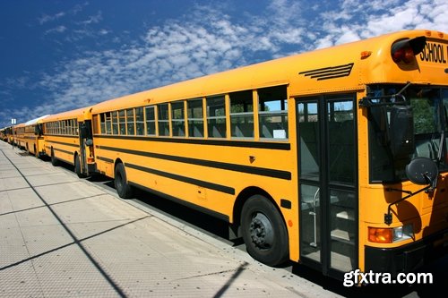 Collection of school bus transport service children 25 HQ Jpeg