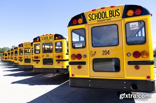 Collection of school bus transport service children 25 HQ Jpeg