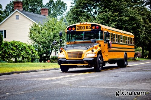 Collection of school bus transport service children 25 HQ Jpeg