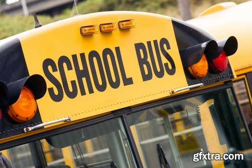 Collection of school bus transport service children 25 HQ Jpeg