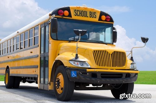 Collection of school bus transport service children 25 HQ Jpeg