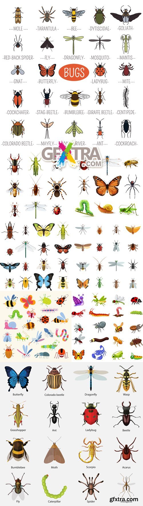 Insects Vector Collection