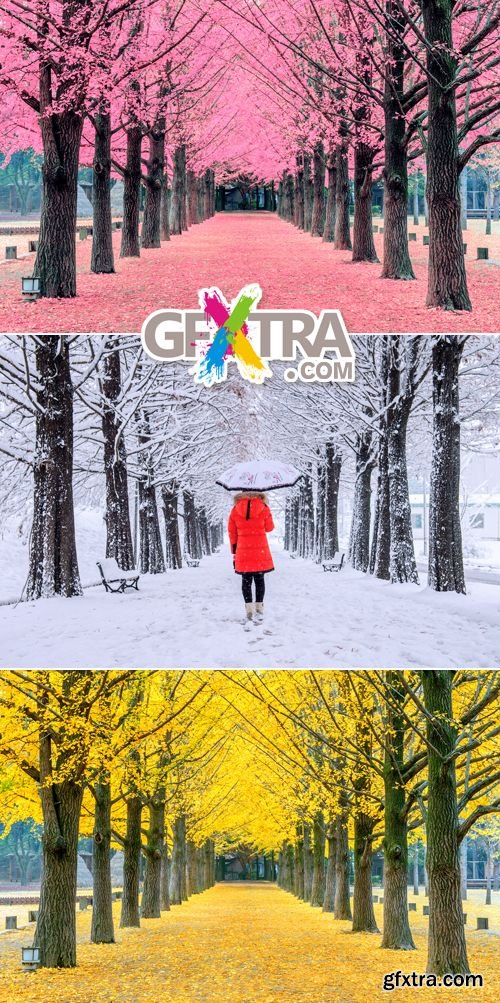 Stock Photo - Seasons