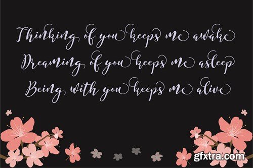 CreativeMarket - Shameera Script