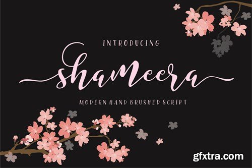 CreativeMarket - Shameera Script