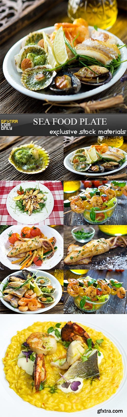 Sea food plate, 9  x  UHQ JPEG