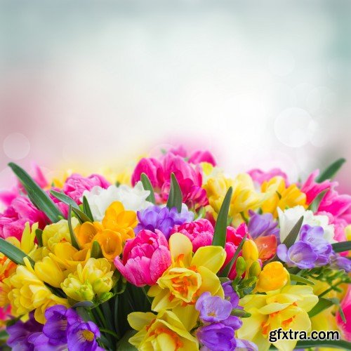 Spring flowers, tulips, crocuses, hyacinths