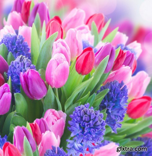 Spring flowers, tulips, crocuses, hyacinths