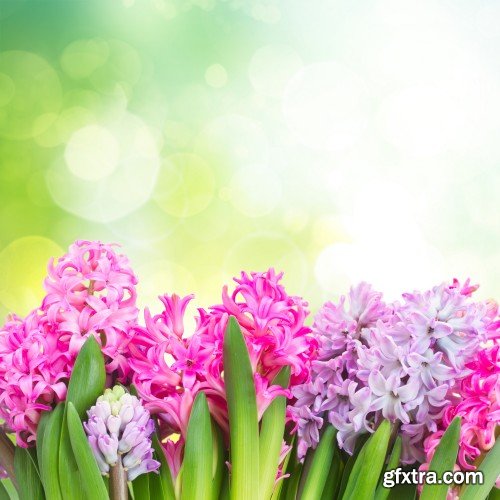 Spring flowers, tulips, crocuses, hyacinths