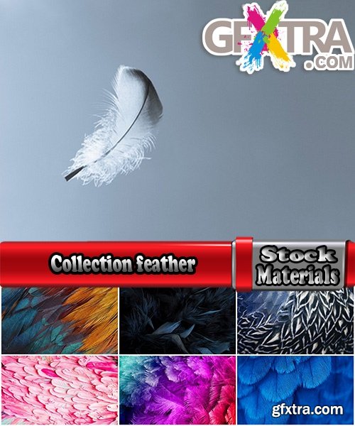 Collection feather feathers wing background is 25 HQ Jpeg