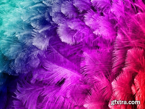 Collection feather feathers wing background is 25 HQ Jpeg