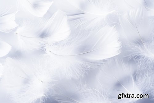 Collection feather feathers wing background is 25 HQ Jpeg