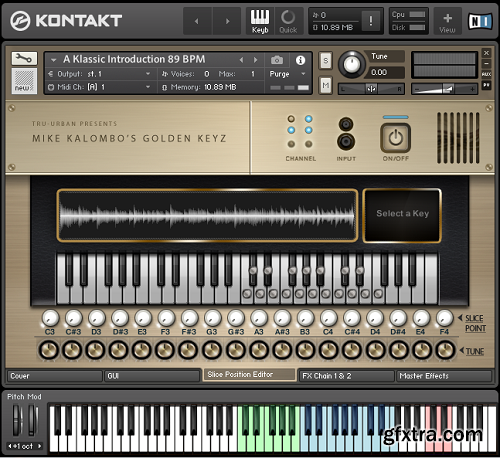 TRU-URBAN Mike Kalombo's Golden Keyz WAV KONTAKT WiN OSX-FANTASTiC