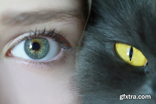 Collection of different animals eye eyes 25 HQ Jpeg