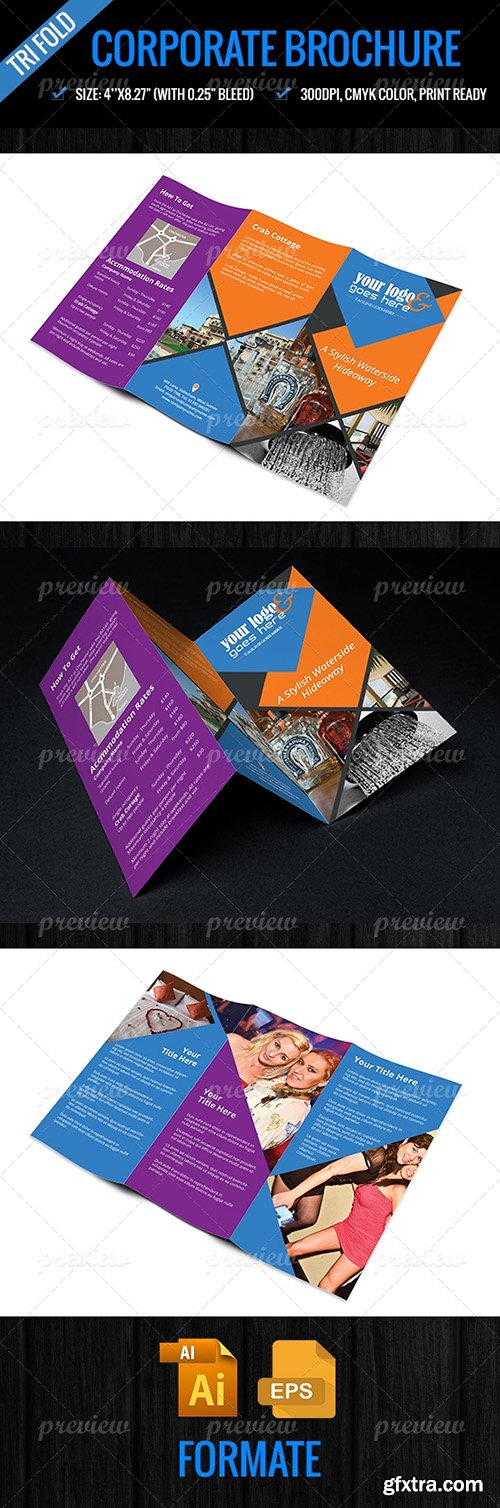 Codegrape Tri-Fold Brochure 2945