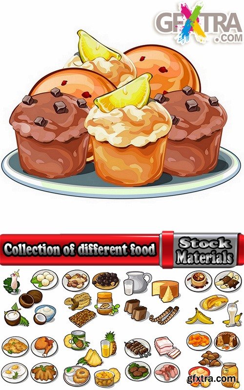 Collection of different food icon vector image 25 EPS