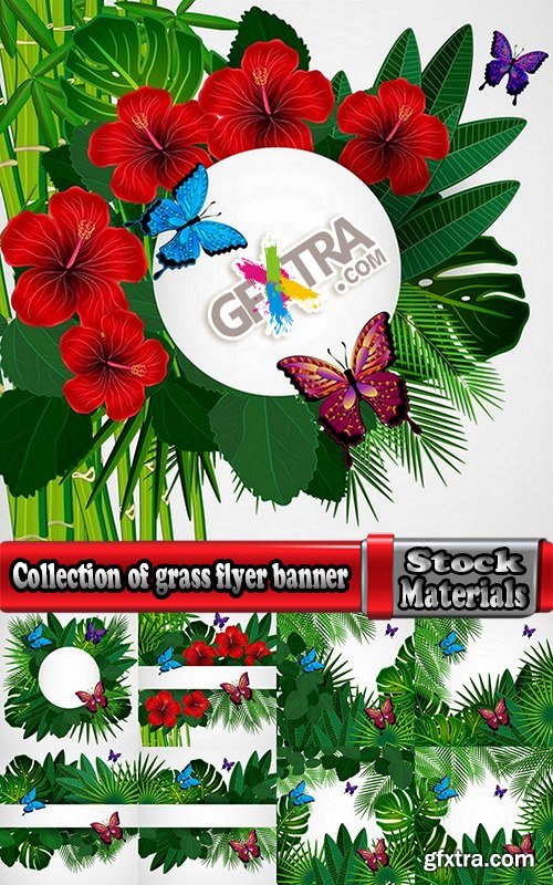 Collection of grass flyer banner background is green plants vector image 25 EPS