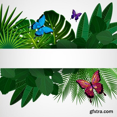 Collection of grass flyer banner background is green plants vector image 25 EPS