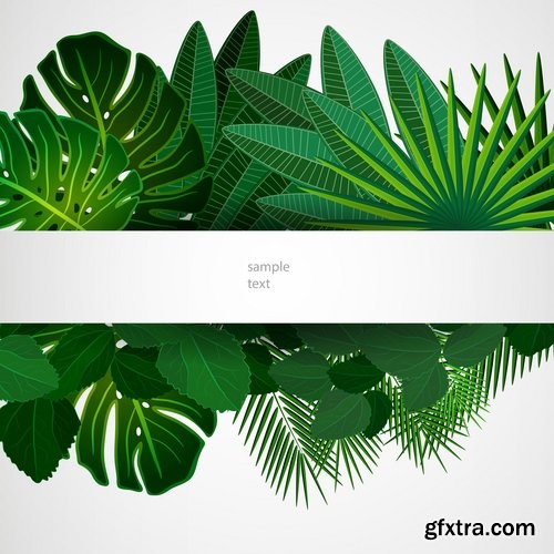 Collection of grass flyer banner background is green plants vector image 25 EPS