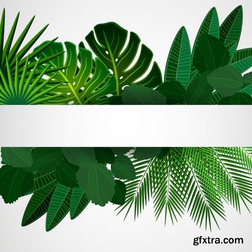 Collection of grass flyer banner background is green plants vector image 25 EPS