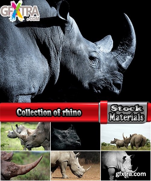 Collection of rhino horn animal armored skin 25 HQ Jpeg