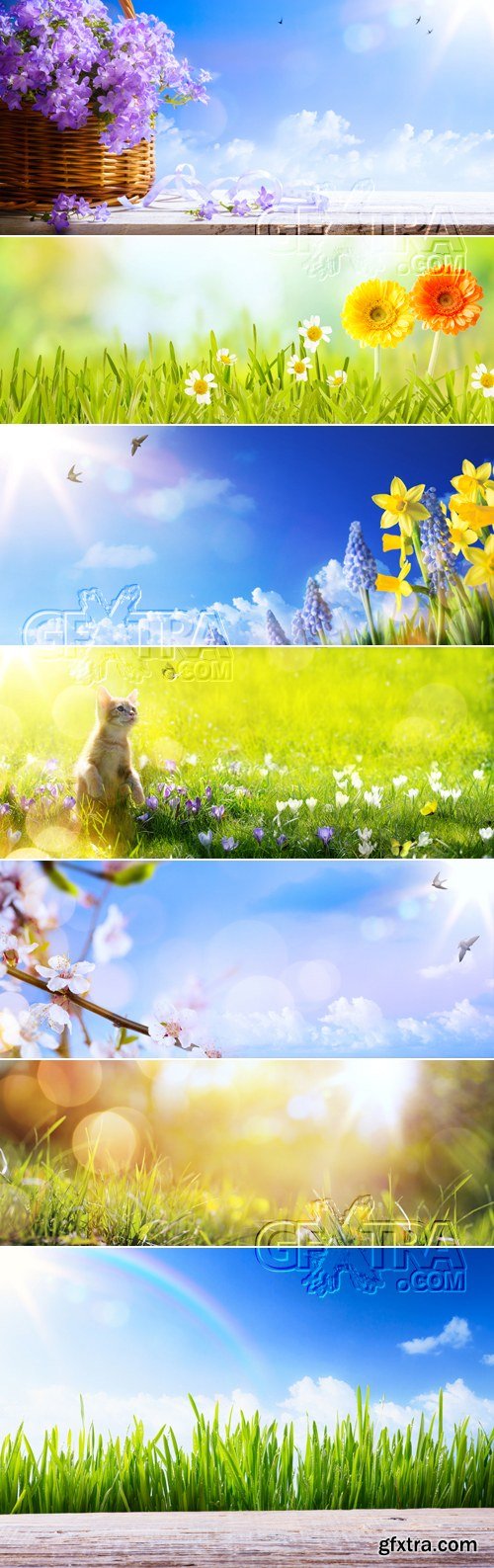 Stock Photo - Spring Panoramic Backgrounds