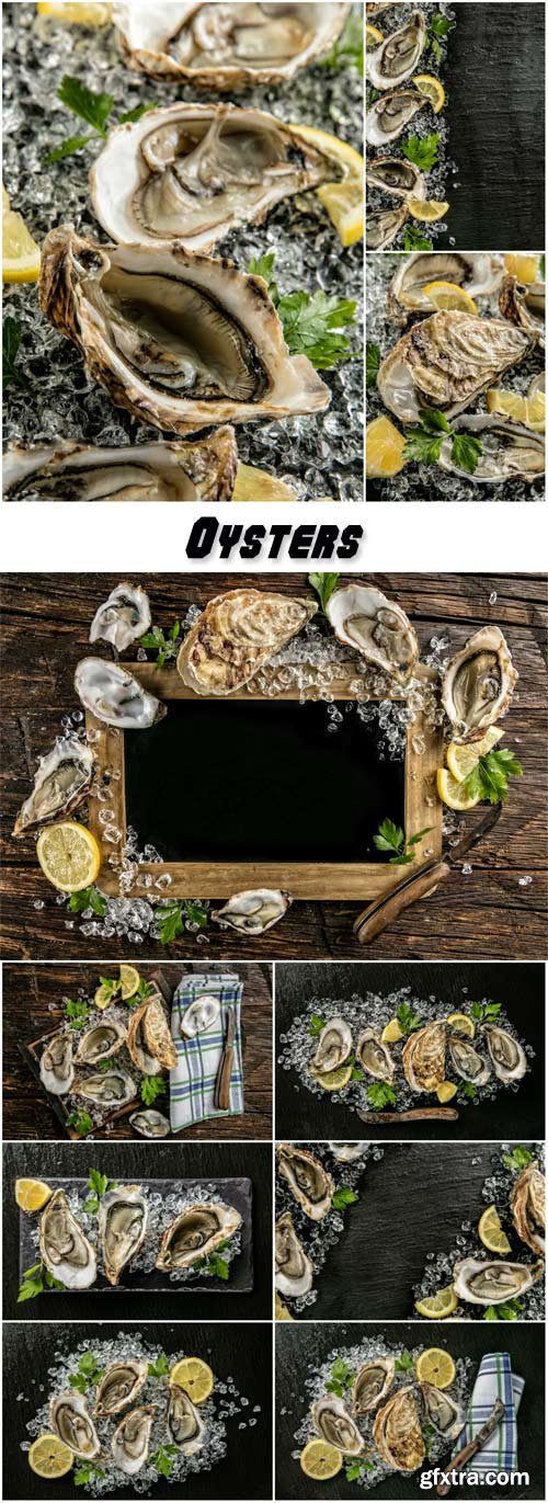 Oysters served on wood with blackboard