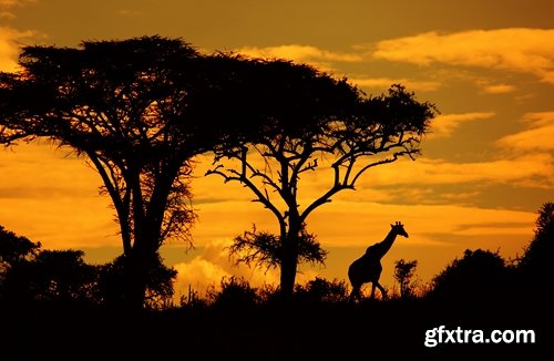 Collection Africa Kenya landscape mountain plateau of desert aborigine 25 HQ Jpeg