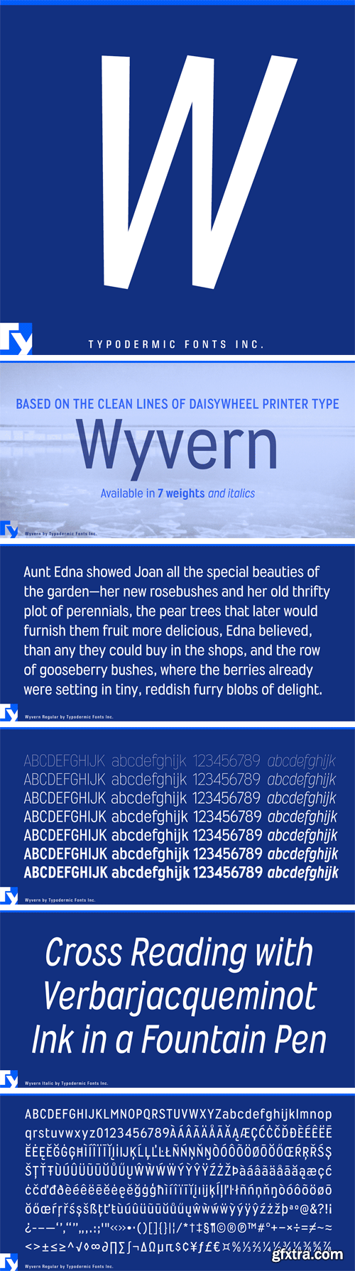 Wyvern Font Family