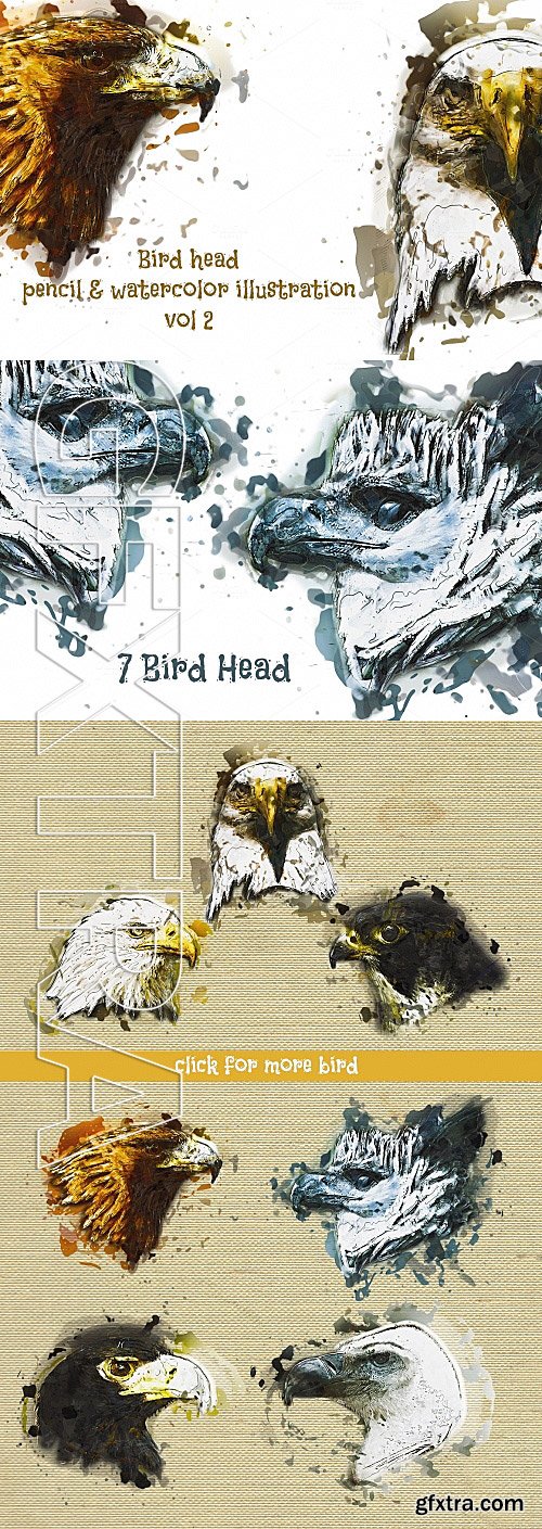 CM - Bird Head Pencil & Watercolor vol 2 580639