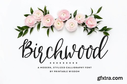 CreativemarketBirchwood Calligraphy Font 550314