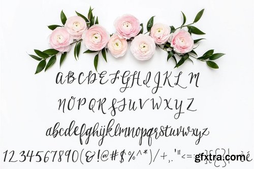 CreativemarketBirchwood Calligraphy Font 550314