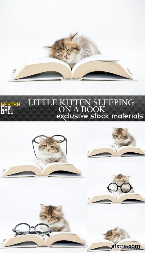 Little Kitten Sleeping on a Book - 6 UHQ JPEG