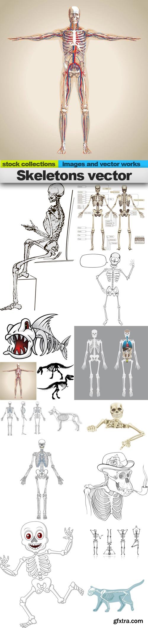 Skeletons vector, 15 x EPS